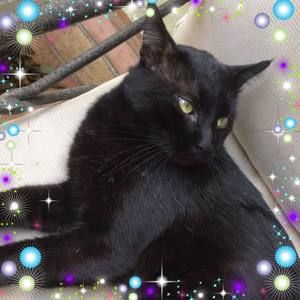 Meet your Posher, Cara